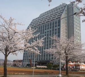 더위트도고